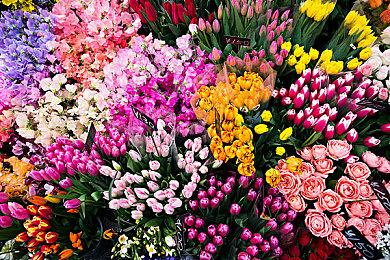 《星球大战：银河边缘传说-增强版》PSVR2首发同步发售